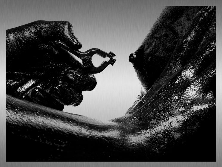 Mosquito Bite Trilogy