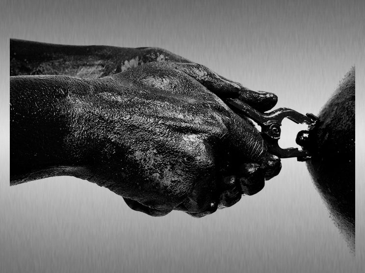 Mosquito Bite Trilogy