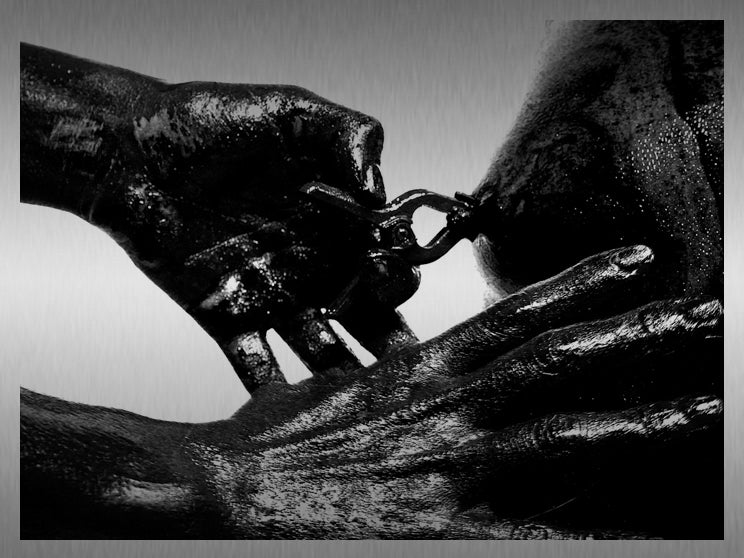 Mosquito Bite Trilogy