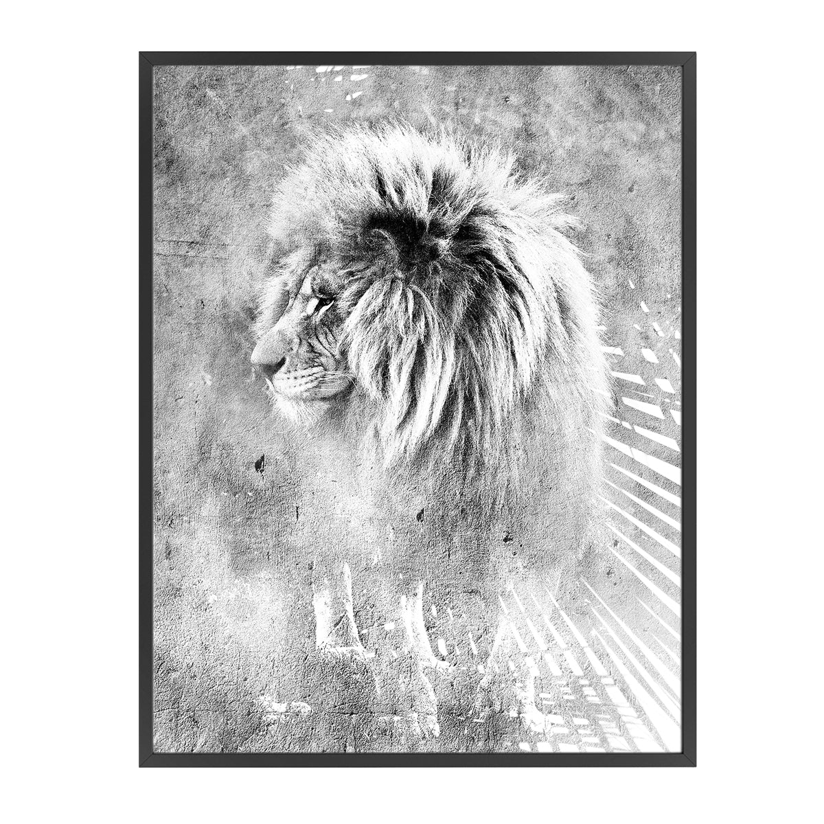 Mufasa black and white