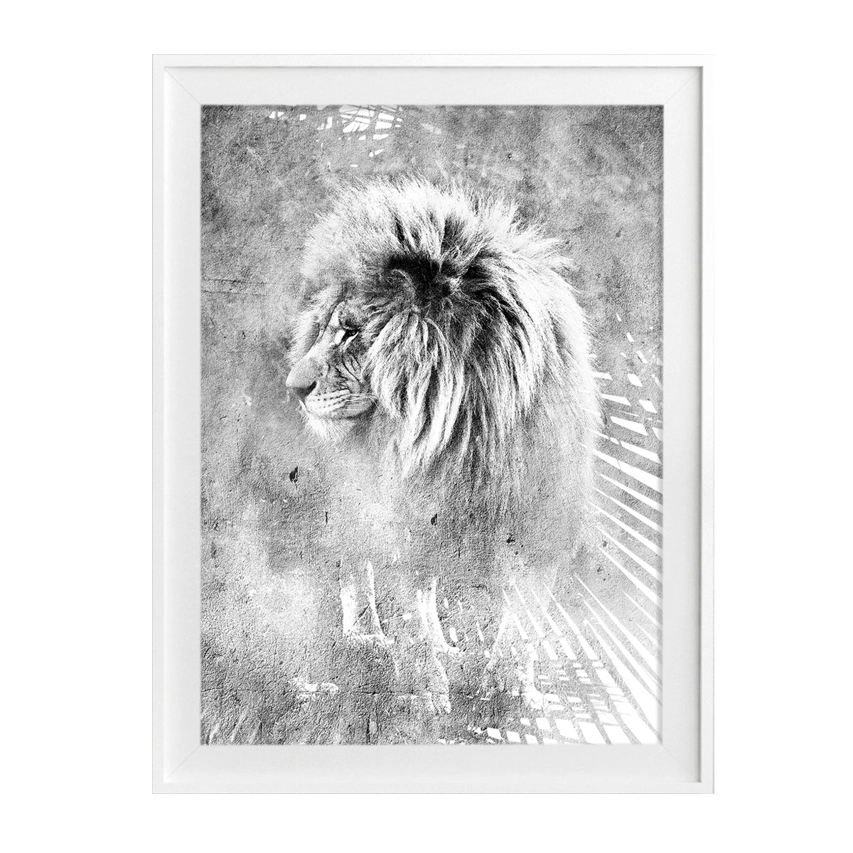 Mufasa black and white