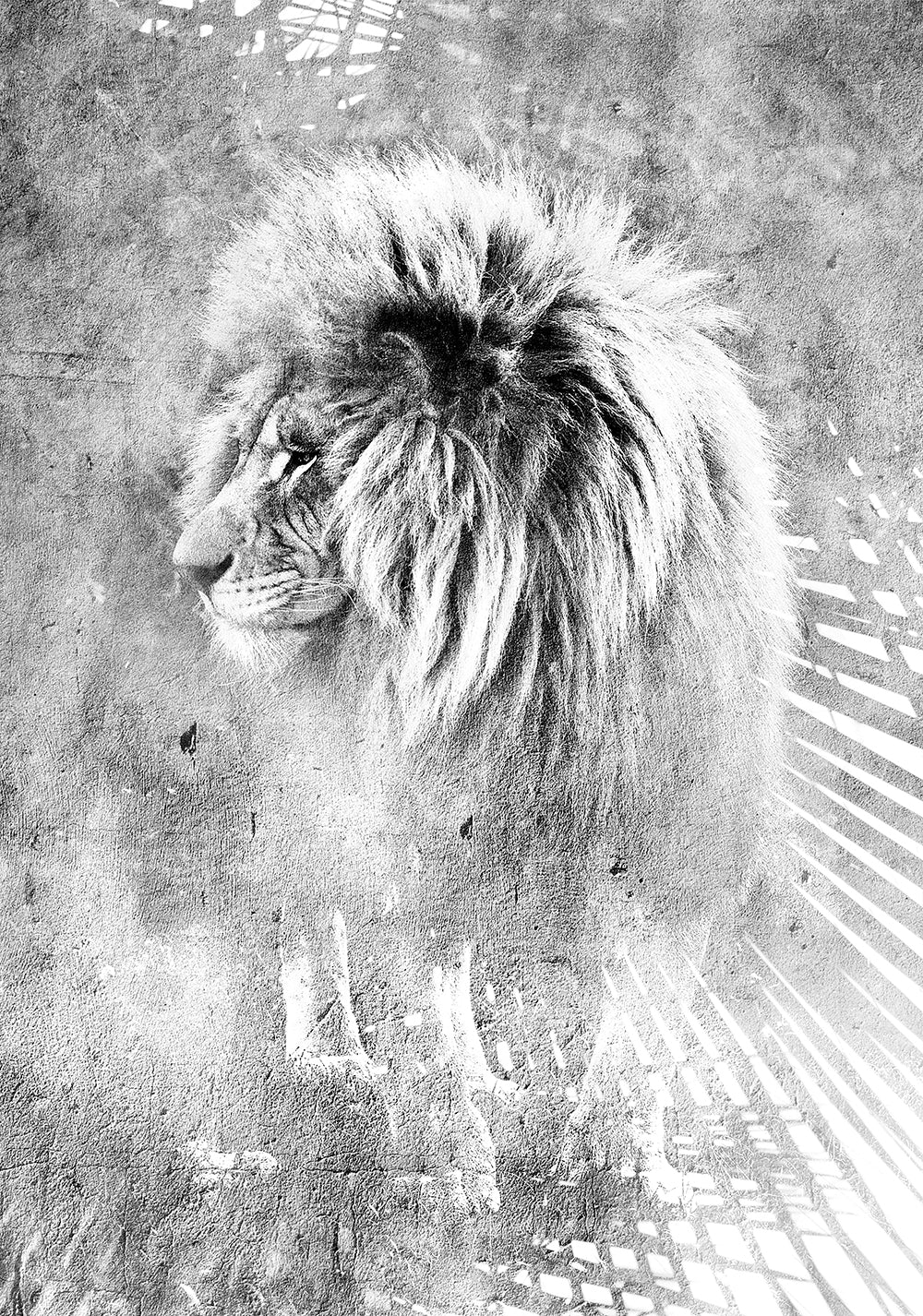 Mufasa black and white