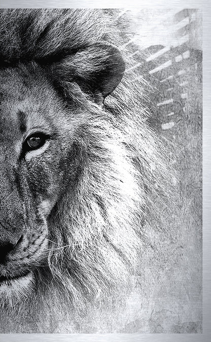 Simba